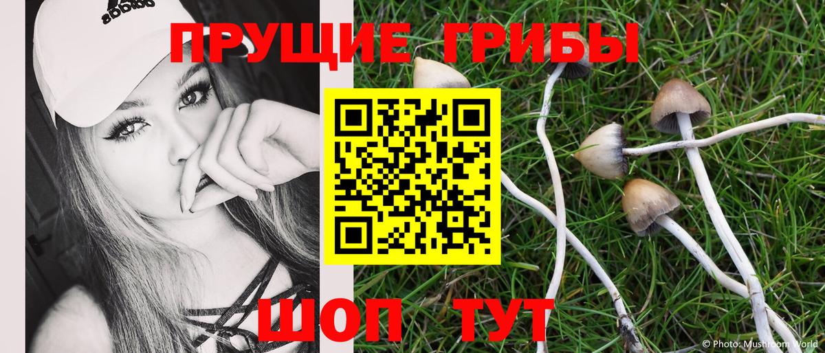 Ярцево  Псилоцибиновые грибы прущие грибы  Вход с VPN 