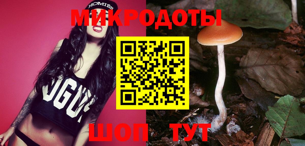 Псилоцибиновые грибы GOLDEN TEACHER Ярцево